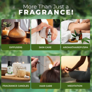Read more about the article Essential Oil vs. Aromatherapy Oil – Which One Should You Choose? 🌿💧