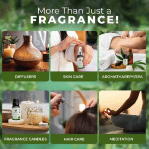 Essential Oil vs. Aromatherapy Oil – Which One Should You Choose? 🌿💧