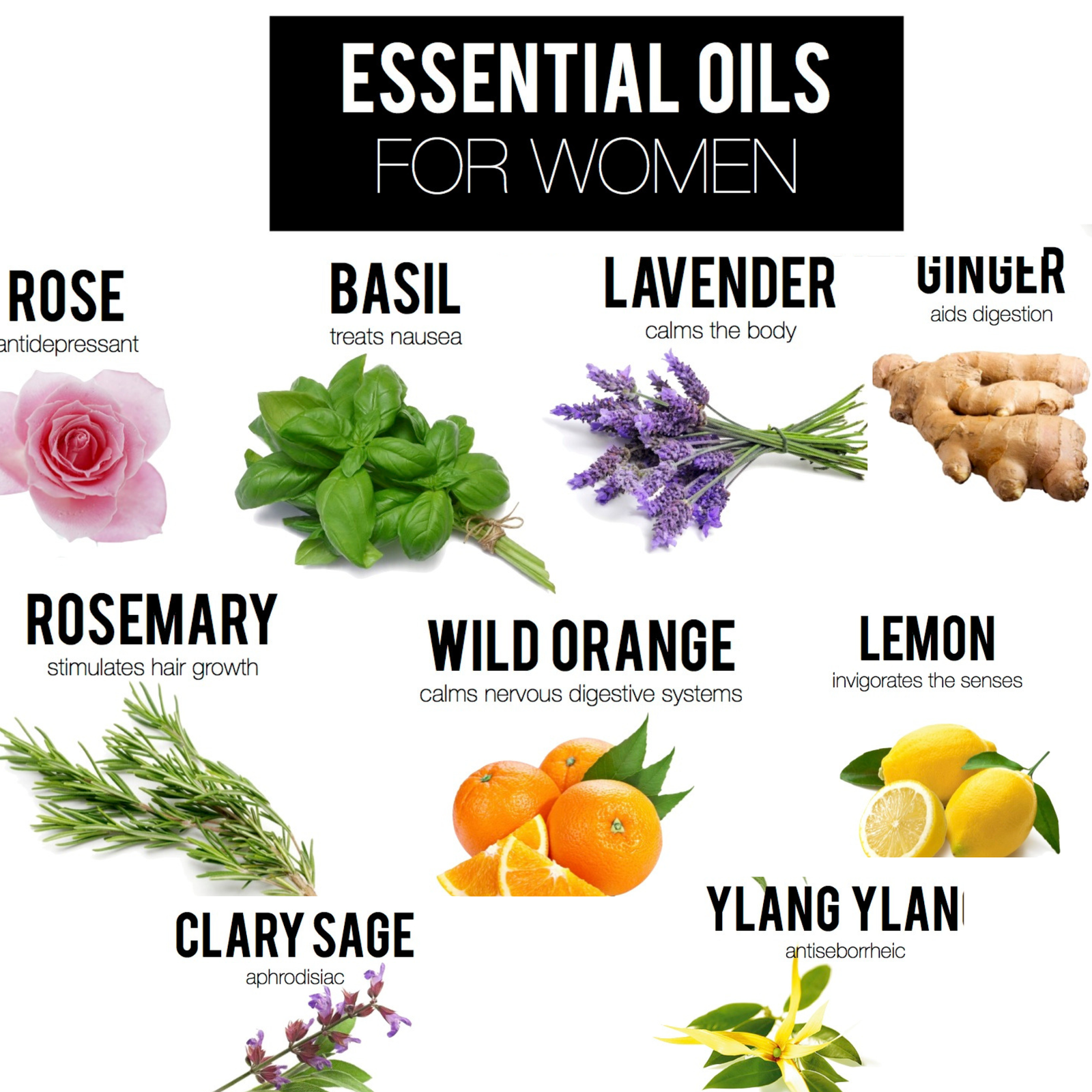 You are currently viewing How to Choose the Best Essential Oil for Women 🌿💧